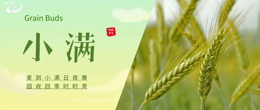 節(jié)氣 | 小滿(mǎn)